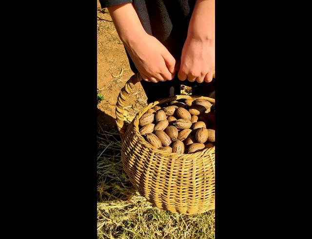 4.60HA SMALLHOLDING FOR SALE IN MODDERFONTEIN AH